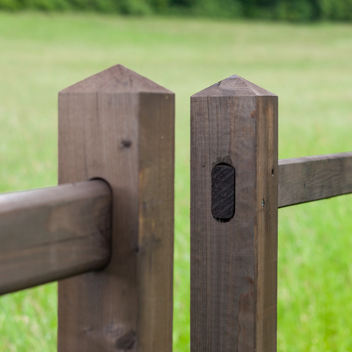 Weidezaun Koppelzaun - Komplettset - Andalusier