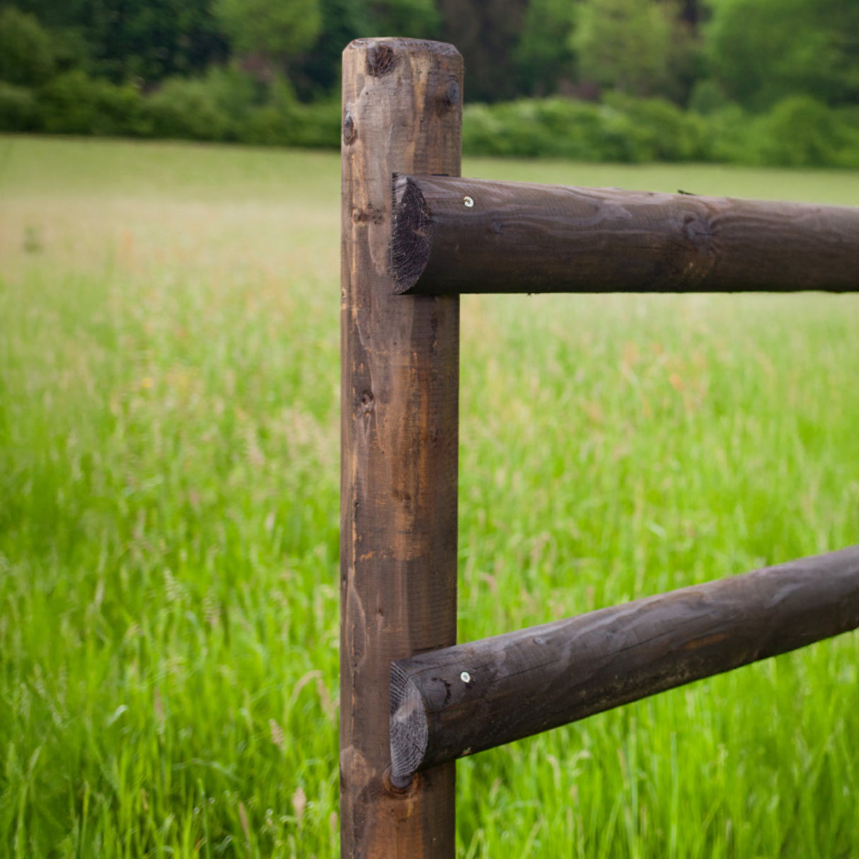 Weidezaun Koppelzaun - Komplettset - Trakhener