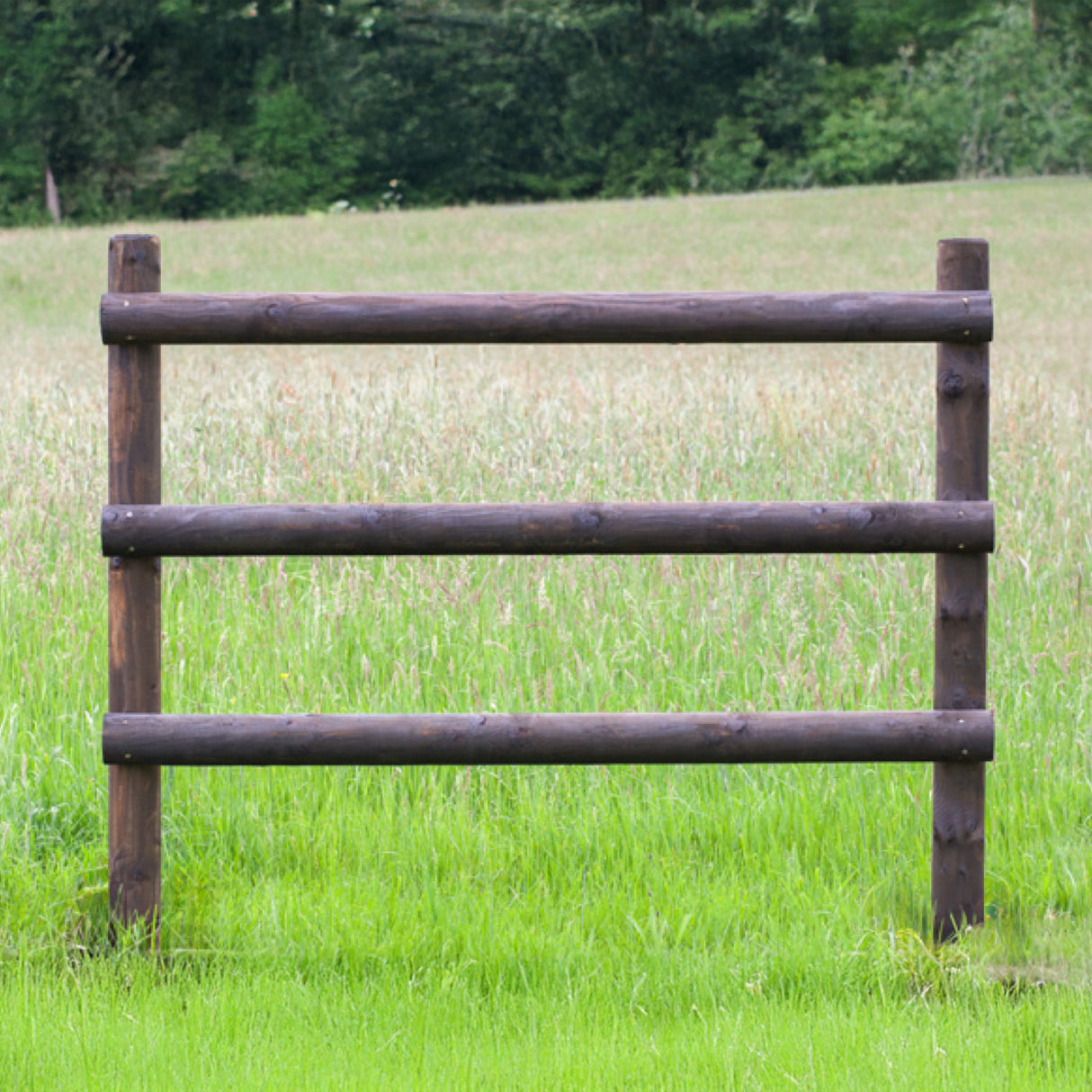Weidezaun Koppelzaun - Komplettset - Trakhener
