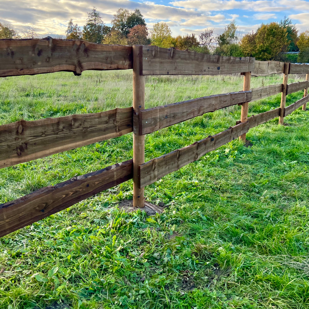 Weidezaun Koppelzaun - Komplettset - Friese