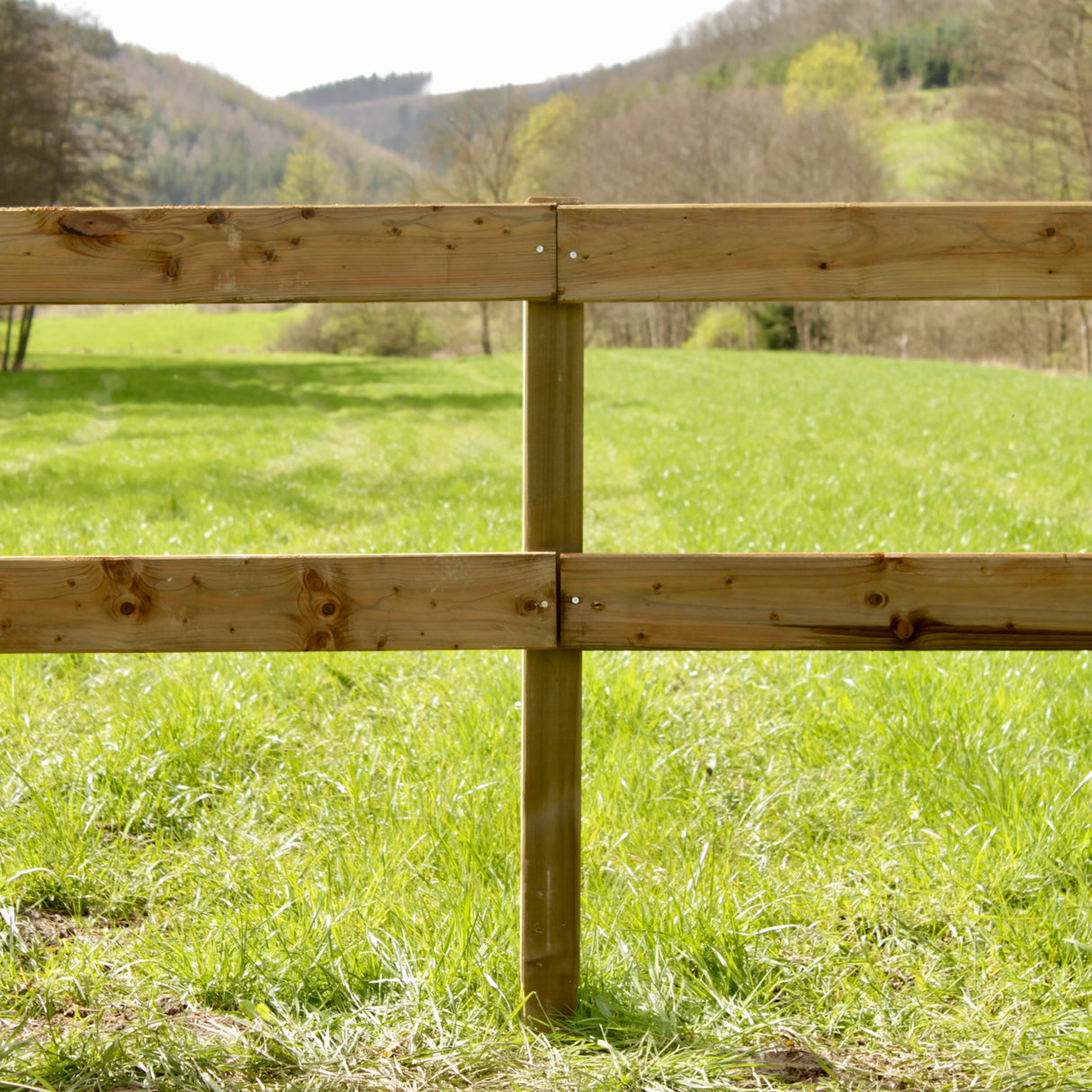 Weidezaun Koppelzaun - Komplettset - Mecklenburger