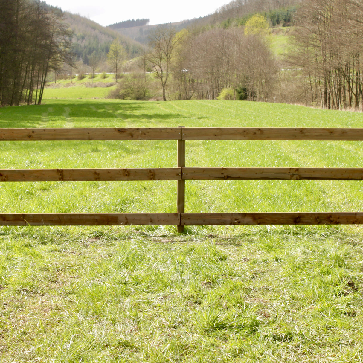 Weidezaun Koppelzaun - Komplettset - Mecklenburger