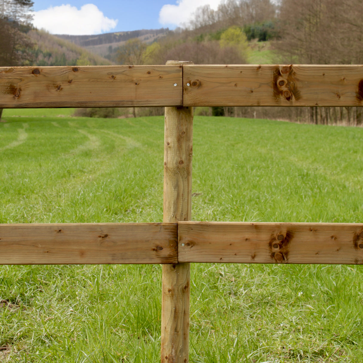 Weidezaun Koppelzaun - Komplettset - Rheinländer