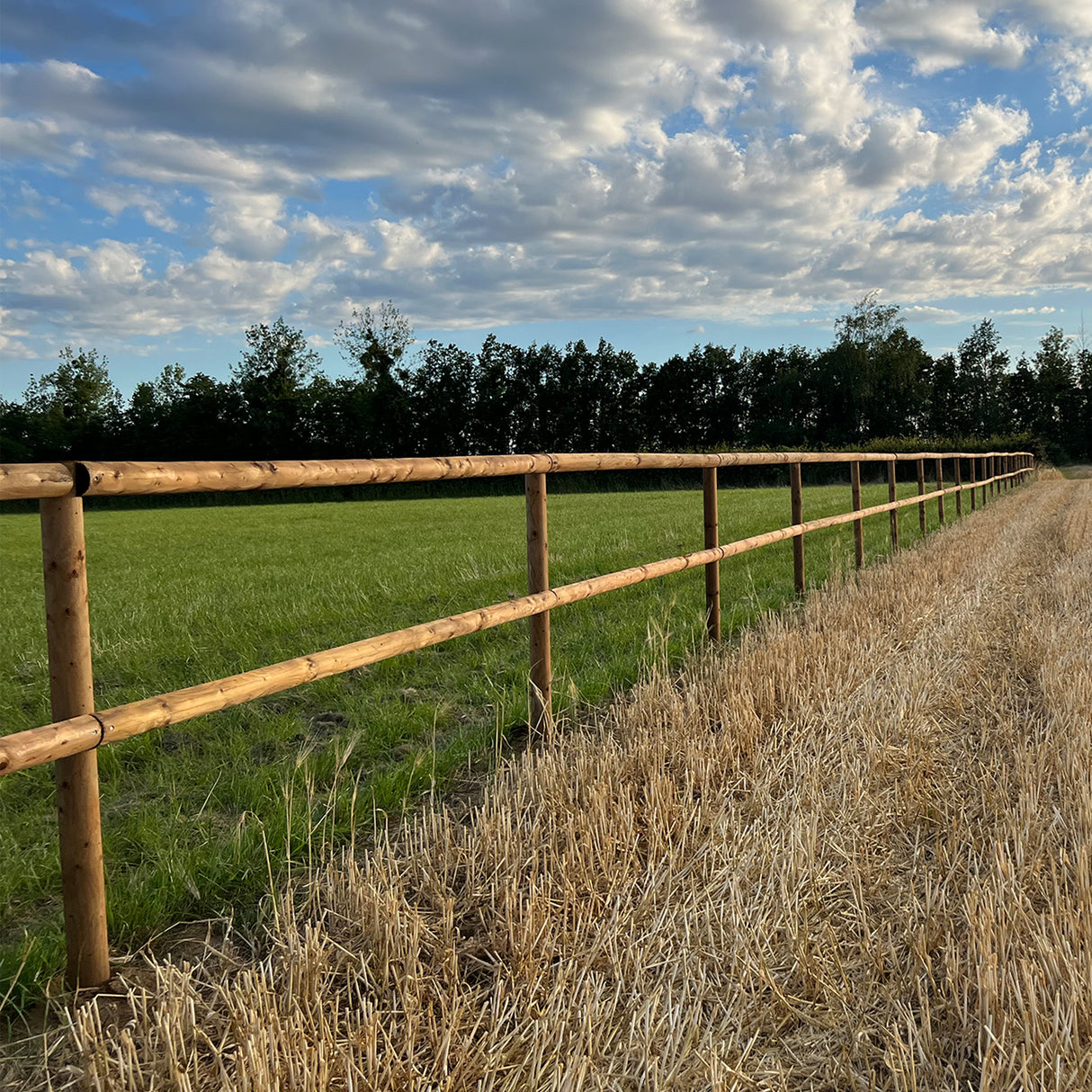 Weidezaun Koppelzaun - Komplettset - Hannoveraner