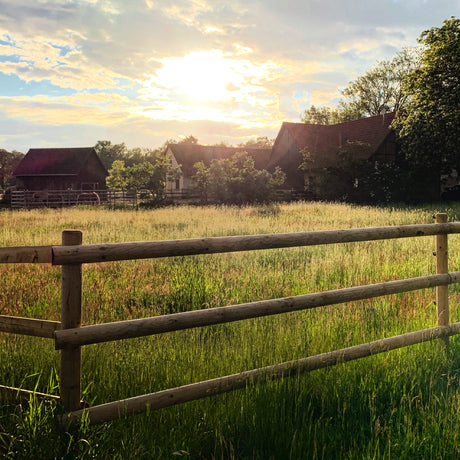 Weidezaun Koppelzaun - Komplettset - Hannoveraner