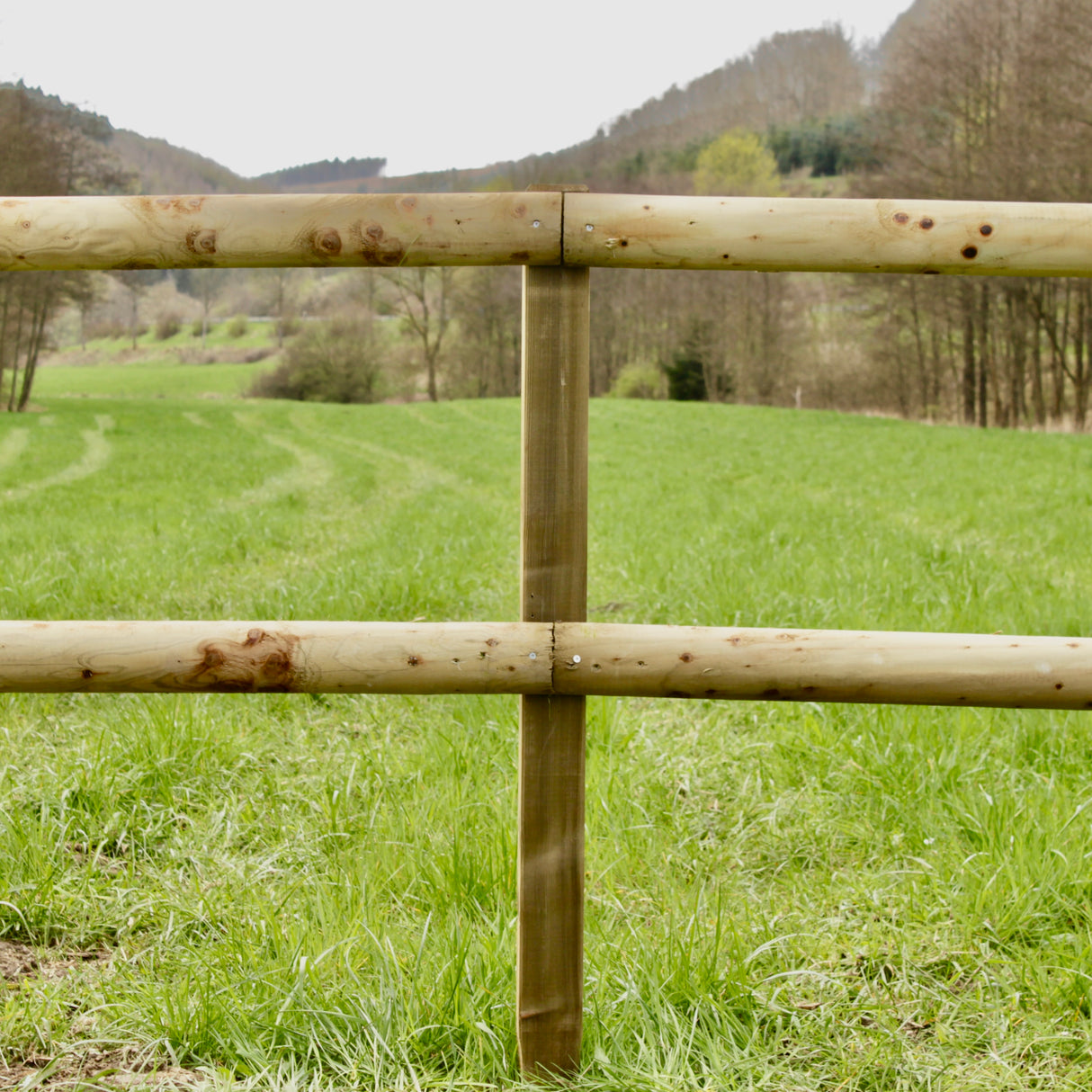 Weidezaun Koppelzaun - Komplettset - Holsteiner
