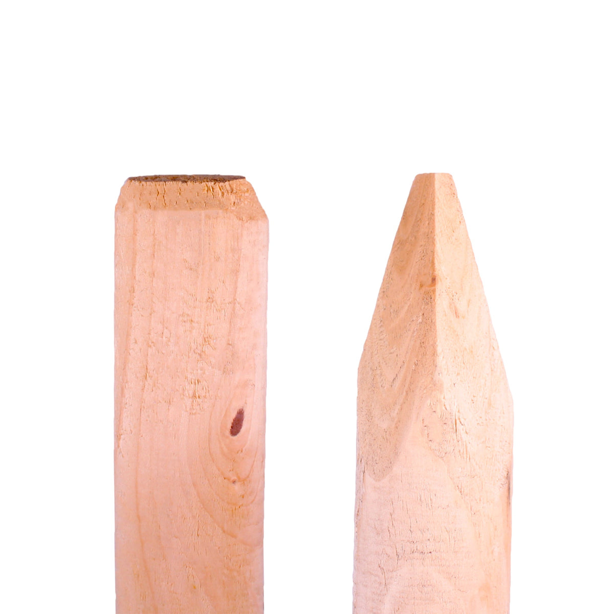 Baumpfahl Pfosten naturbelassen und rund, zwei Holzpfähle mit flachem und gespitztem Ende