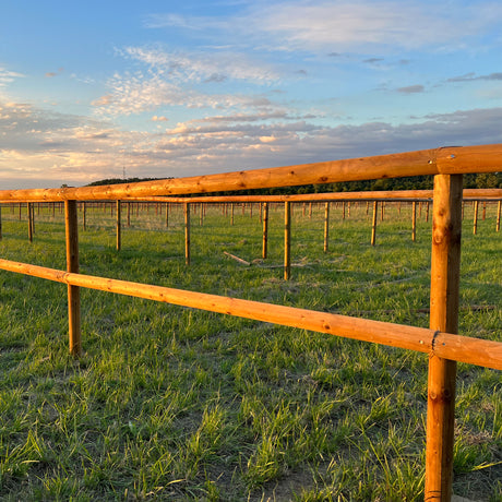 Weidezaun Koppelzaun - Komplettset - Hannoveraner