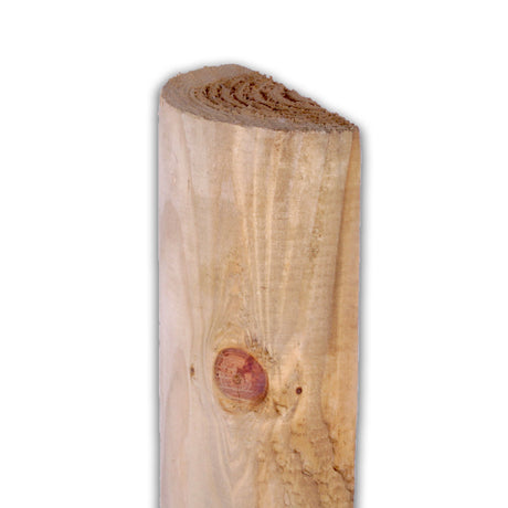 Halbholz Halbriegel gefräst, naturbelassen, stehend mit halbrunder Stirnseite, Freisteller